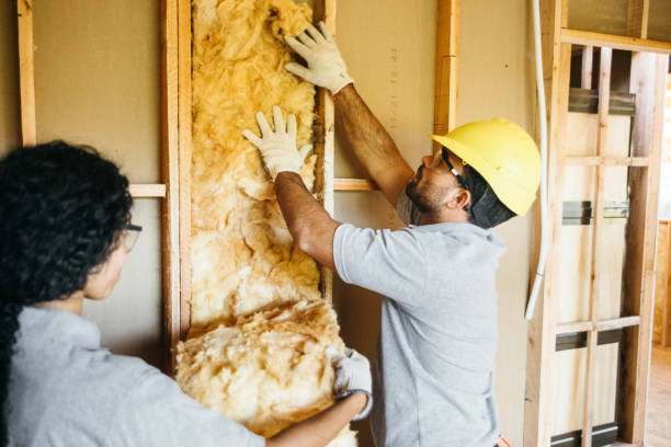 Best Commercial Insulation Services  in Breckenridge, MN